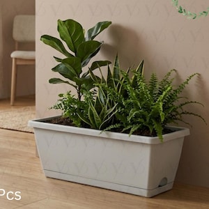 May include: A rectangular, light gray planter box filled with various green plants. The planter sits on a wooden floor, with a wall and chair in the background. The text "4Pcs" is visible at the bottom left. The Victor PlantCo logo is in the top right.