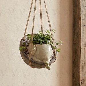 Smiling Hanging Planter Flowerpot Plant Hangers,Wall Planter Indoor, Rotating Resin Succulent Plant Pot, Hanging Planter Indoor