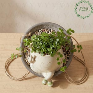 Puede incluir: Una maceta colgante con un diseño de cara sonriente, llena de plantas verdes y pequeñas piedras. La maceta es gris con una cara blanca, una mano con el signo de la paz y pies a rayas verdes. Cuelga de una cuerda natural.