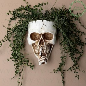 May include: A white skull-shaped plant pot with a finger to its lips, filled with trailing green plants. The skull has detailed features and cracks, a unique decorative piece for Halloween or gothic decor.
