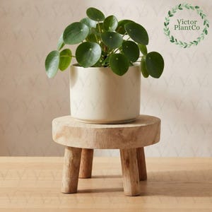 Runder Pflanzenständer aus Holz, Wandpflanzgefäß, rustikaler Pflanzenständer/Hocker für drinnen, natürlicher Blumenhalter