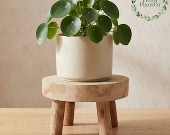 Round Wooden Plant Stand Indoor Decoration Wall Planter Hand Rustic Indoor Plant Stand Stool Display Natural Flower Plant Holder Stand