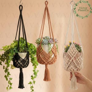 Peut inclure: Trois suspensions de plantes en macramé noir, marron et crème, chacune contenant un pot en céramique blanc avec des plantes. Le support noir contient du feuillage vert, le marron des succulentes et le crème des cactus. La marque "Victor PlantCo" est visible.