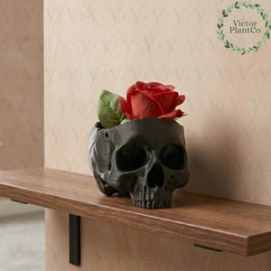 Puede incluir: Una maceta negra con forma de calavera contiene una rosa roja y hojas verdes. La maceta está sobre una estantería de madera. Los detalles de la calavera están bien definidos, dándole un aspecto realista. Una mezcla de elementos góticos y florales.