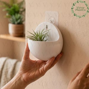 Op de afbeelding: Een witte, eivormige wandplanter met een kleine groene plant erin. De planter wordt op zijn plaats gehouden door een doorzichtige zelfklevende haak. Het Victor PlantCo-logo is rechtsboven zichtbaar. Ontworpen voor binnengebruik.