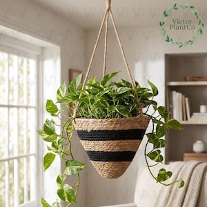 May include: A hanging planter made of natural tan jute rope with two horizontal black stripes, suspended by three braided rope cords. A lush pothos plant with variegated green and yellow heart-shaped leaves spills over the edges of the cone-shaped basket.