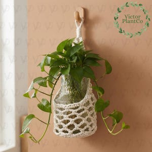 May include: A clear glass vase with vertical ribbing held in a cream-coloured macrame net hanger. A green pothos plant with trailing vines grows inside the vase. The entire assembly is suspended from a light-coloured wooden wall hook.