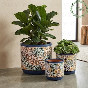 Puede incluir: Tres macetas de cerámica decorativas con borde y base azules. Las macetas presentan un patrón repetitivo de diseños circulares blancos, naranjas y verdes. La maceta más grande contiene una planta verde frondosa, y las más pequeñas suculentas.