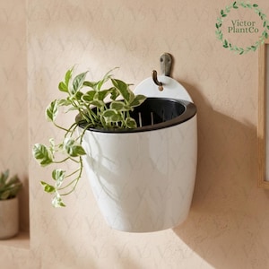May include: A white wall-mounted planter with a black interior, containing a green and white leafy plant. The planter is hung by a metal hook. The Victor PlantCo logo is in the top right corner.