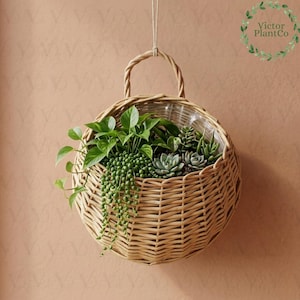 Könnte beinhalten: Ein runder, gewebter Hängekorb aus Weide, gefüllt mit verschiedenen grünen Pflanzen und Sukkulenten. Der Korb hat einen Griff und wird an einer naturfarbenen Schnur aufgehängt. Die Pflanzen umfassen Ranken von Perlen und andere Blattarten.