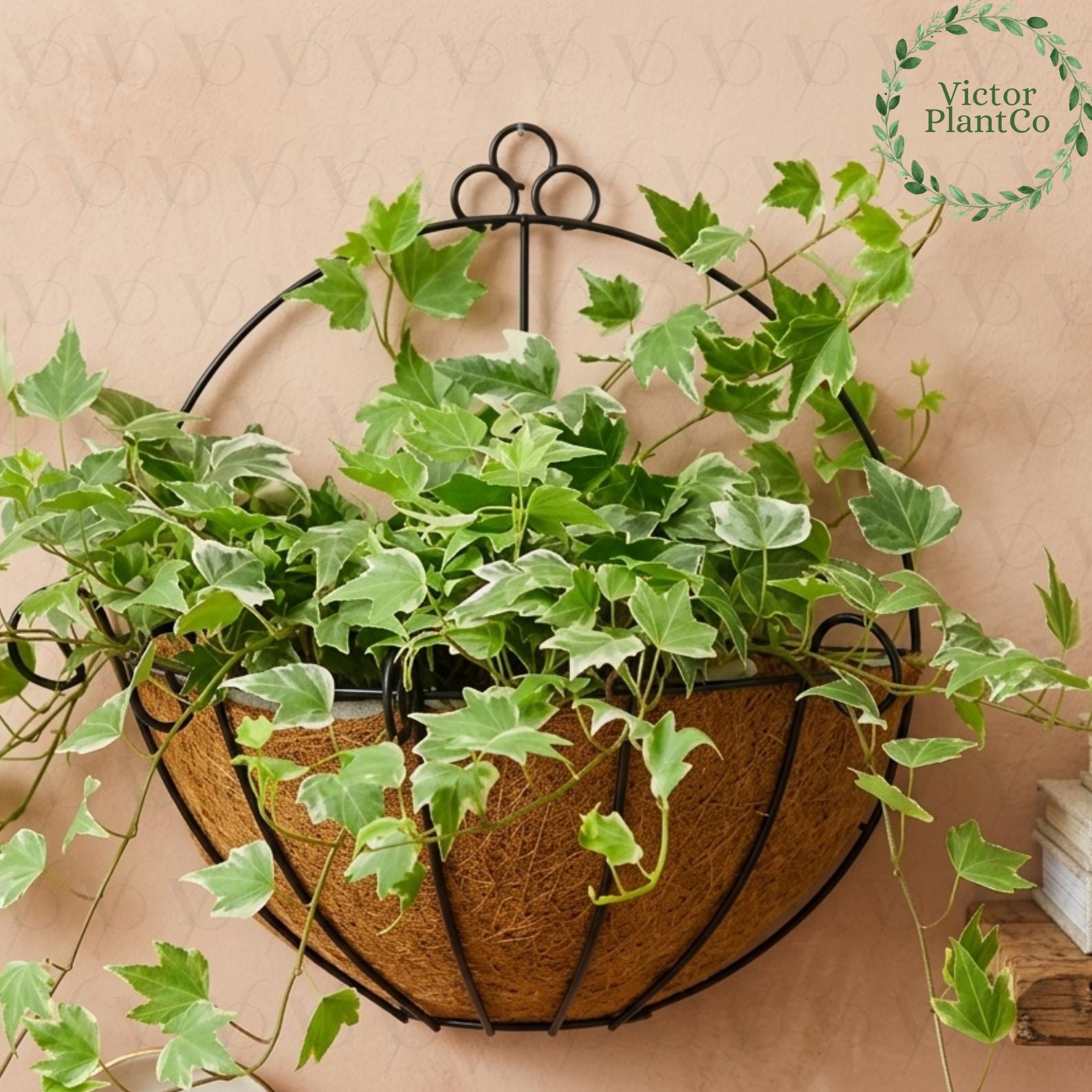 Wand blumenkasten indoor - Etsy.de