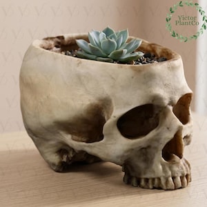 Moderne Harz Schädel Pflanzer-Wand-Dekor, Wand-Pflanzer Indoor Schädel-Harz-Blumentopf-Halter Muttertagsgeschenk