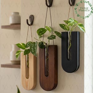 May include: Three U-shaped wall-mounted plant propagation stations hanging from metal hooks. Each features a wooden base in light, medium, and dark tones, holding a clear glass test tube containing a green pothos plant with variegated leaves.