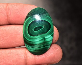 May include: Polished oval malachite gemstone, displaying a vibrant green colour with swirling patterns of lighter and darker shades. The stone is held in a hand, showcasing its natural beauty.