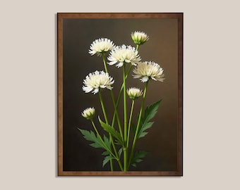 Elegante arte botánico de crisantemo blanco: ilustración floral con gran detalle (descarga digital)