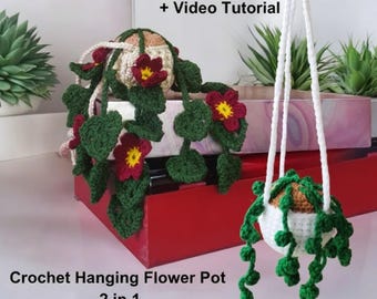 DIY Crochet Plant Hanger Pattern | 2 Unique Designs (PDF Pattern)