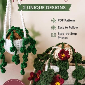 Puede incluir: Un patrón digital para un colgador de plantas de ganchillo DIY con dos diseños únicos. El texto dice DIY Crochet Plant Hanger, 2 Unique Designs, PDF Pattern, Easy to Follow, Step-by-Step Photos, 2 in 1 Pattern e Instant Download.