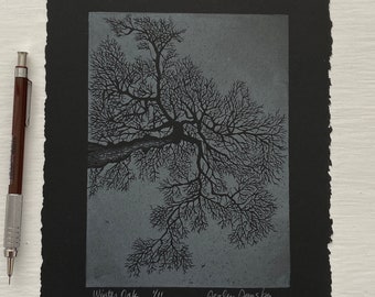 Winter Oak, Limited Edition Lino Print