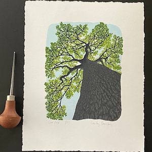 Live Oak, Limited Edition Reduction Print, Tree, Treescape