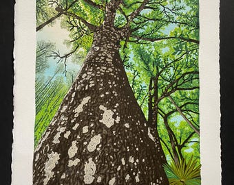 Cypress Creek Oak, Limited Edition Reduction Lino Print, Tree Print