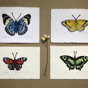 Hand-Colored Butterfly Lino Print: Original Nature Art