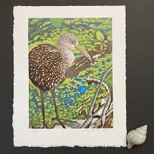 Wader, Limited Edition Reduction Lino Print, Limpkin, Water Bird