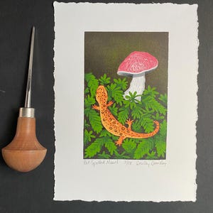 Red-Spotted Newt, Limited Edition Reduction Print, Salamander, Original Art