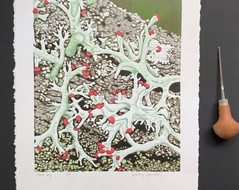 Lichen Reduction Lino Print: Red-Tipped Lichen, Limited Edition