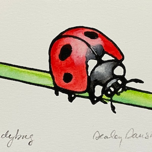 Stampa di coccinella, stampa su lino, stampa naturalistica, stampa di insetti, opera d'arte originale