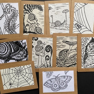 Note Cards, Blank Card