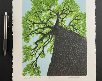 Forest Hills Live Oak, Limited Edition Reduction Print, Tree, Treescape