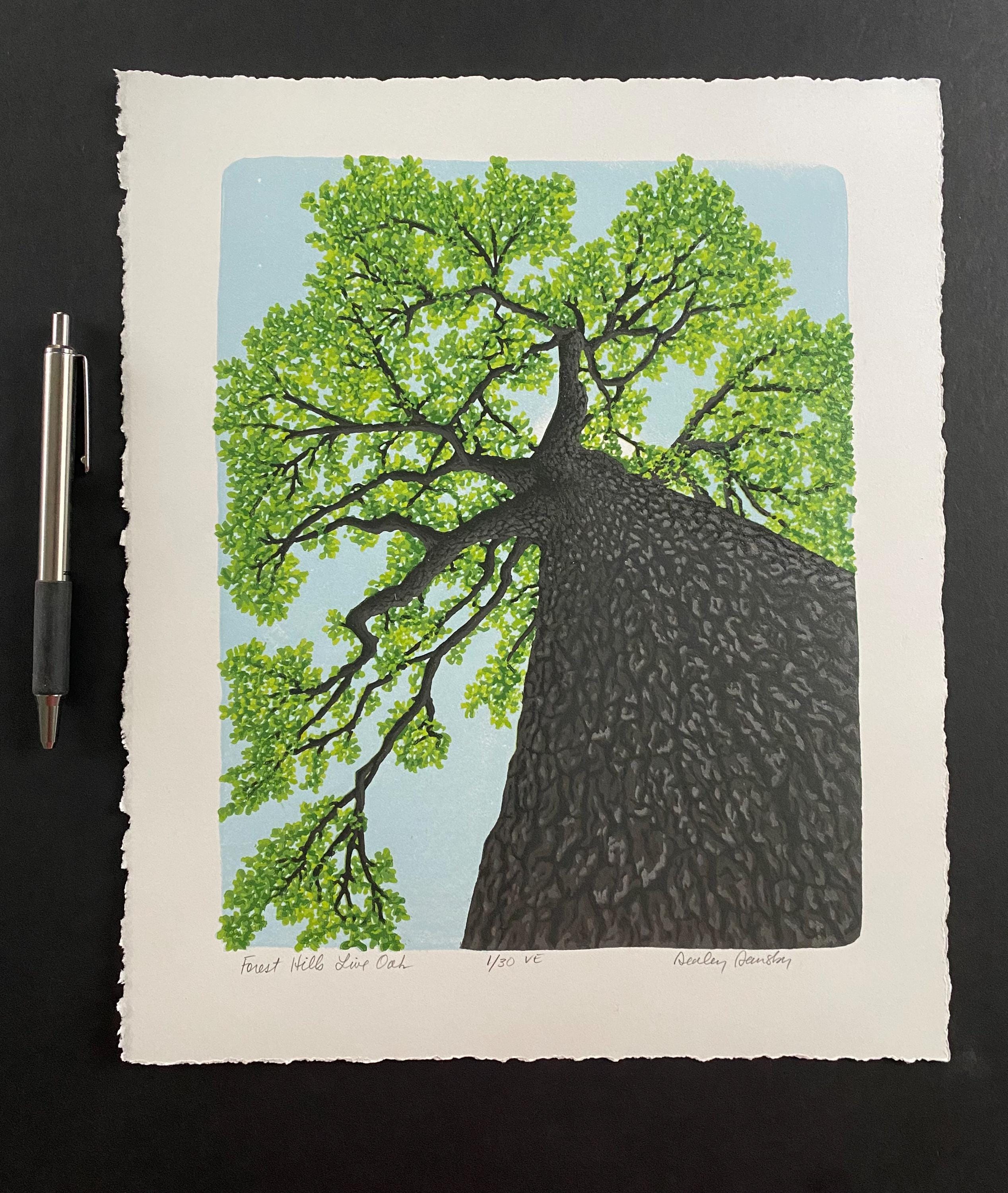 絵画 TREE Forest Hills Live Oak, Limited Edition Reduction Print, Tree