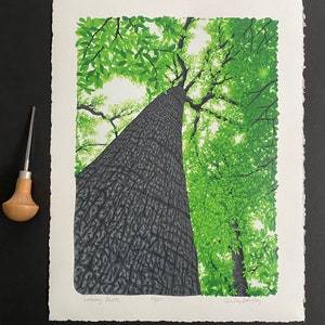 Looking Above, Limited Edition Reduction Lino Print, Tree Print