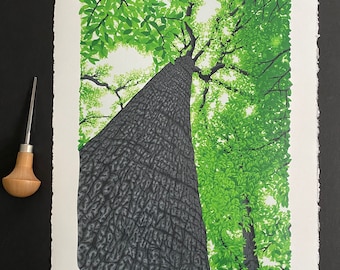 Looking Above, Limited Edition Reduction Lino Print, Tree Print