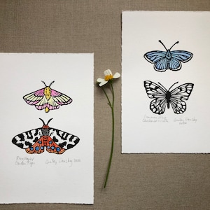 Butterfly & Moth Lino Print: Hand-Printed Watercolor Art