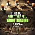 True Feelings Tarot Reading — What They Think & Feel About You — Psychic Love Answers — Same Hour product logo