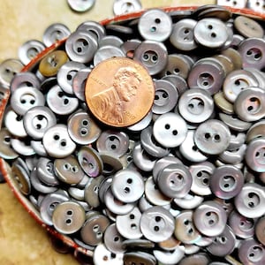 May include: A large collection of round, two-hole gray mother-of-pearl buttons with iridescent surfaces. A copper-colored 2019 United States one-cent coin is placed on top of the buttons to provide a clear sense of scale for the small items.