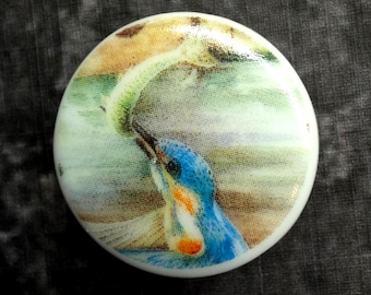 Common Kingfisher w/ Fish ~ Vintage Birchcroft China Bird Picture Button ~ 1-1/16"