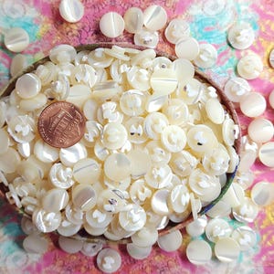 May include: A collection of off-white, pearlescent buttons in a woven basket, with a penny for scale. The buttons are round with various designs and are scattered around the basket on a colorful floral background.