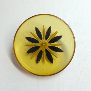 May include: A round, translucent yellow button featuring a central starburst design. The starburst consists of alternating dark brown and yellow pointed petals radiating from a small, circular center point within the smooth, circular disc.