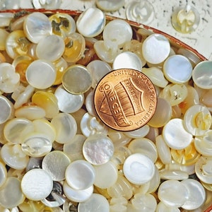 May include: A collection of white and cream colored mother of pearl buttons in a vintage tin. The buttons are various sizes and shapes, and there is a US penny in the center of the image for scale.