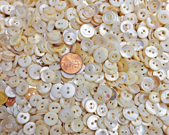 1 Dozen Vintage Mother of Pearl Buttons With Self Shanks A7982 