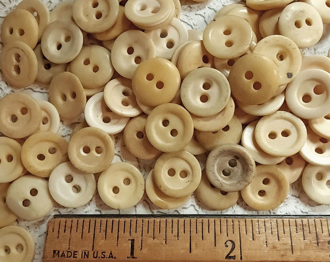 10 Antique Bone Sewing Buttons ~civil War Era Bovine BOS Domesticus ...