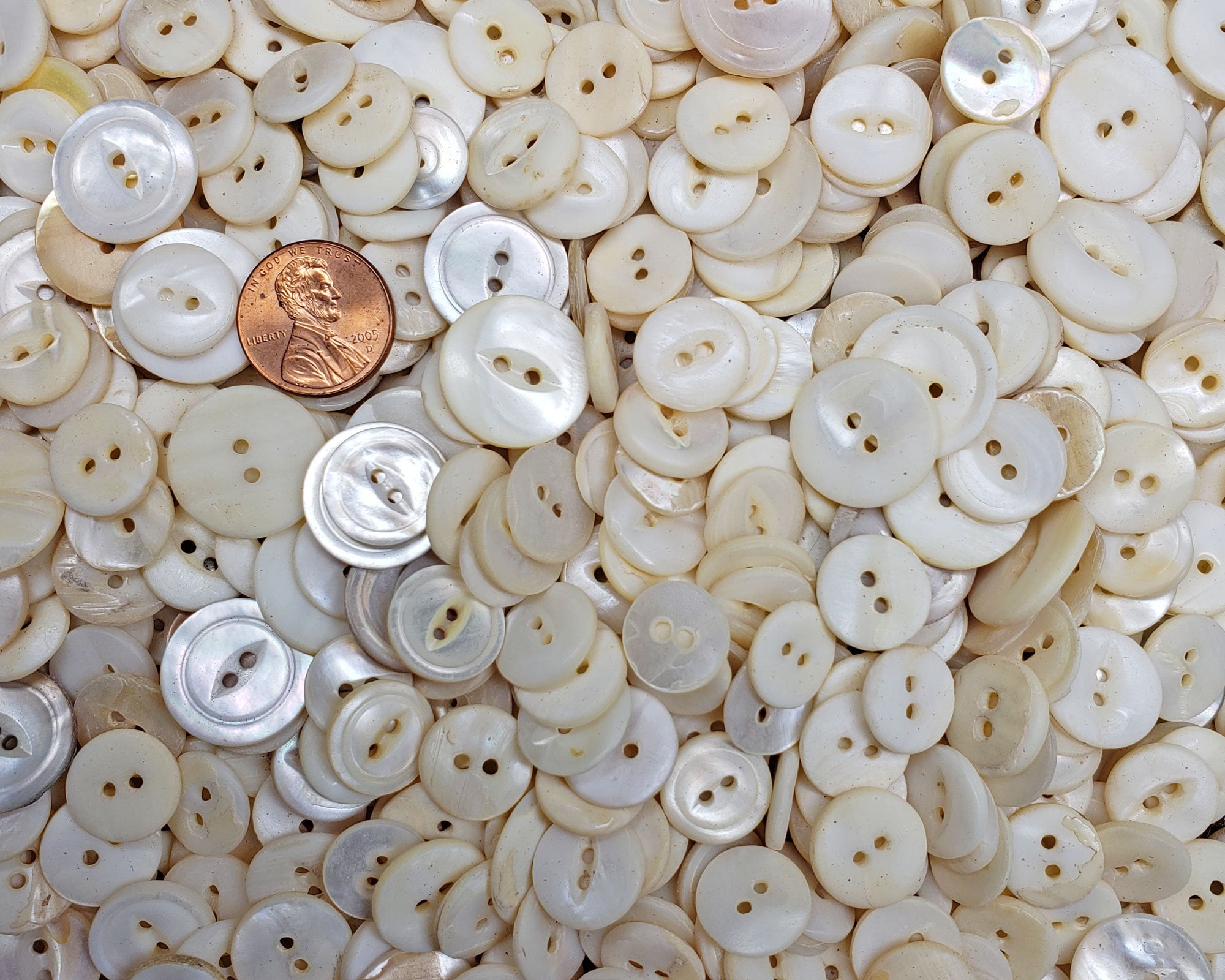 Vintage White Mother of Pearl Buttons + a few Buckles / Slides ~ 1 pound  2.4 oz
