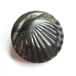 Realistic Scallop Shell ~ Large Celluloid Tight Top Button ~ just under 1-3/4"