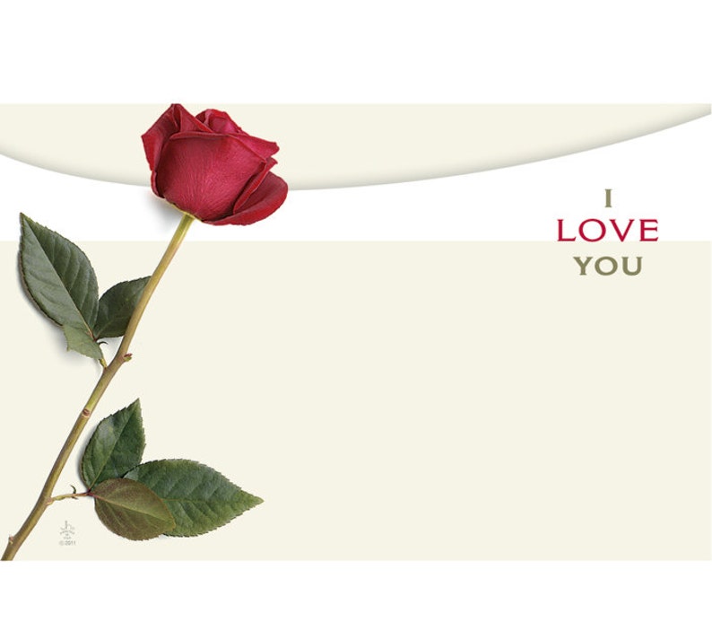 50 ROSE I Love You Floral Print Florist Blank Enclosure Cards Small Tags Crafts Free Shipping!