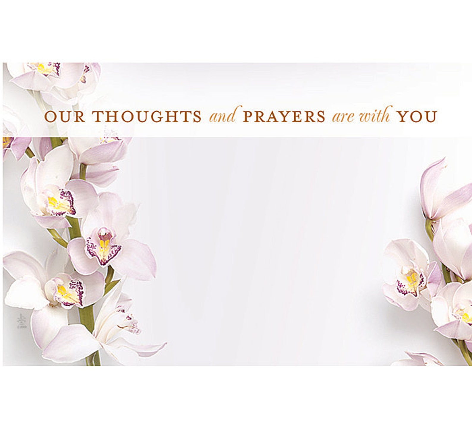 50 Thoughts & Prayers SYMPATHY Florist Blank Enclosure Cards - Etsy