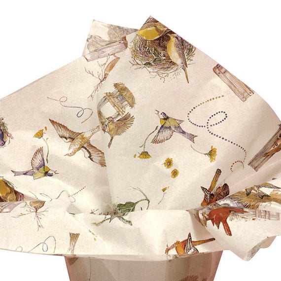 Birds Nest Bird Lovers Bird Houses Gift Wrap Tissue Paper--10 Patterned Sheets Large 20 x 30