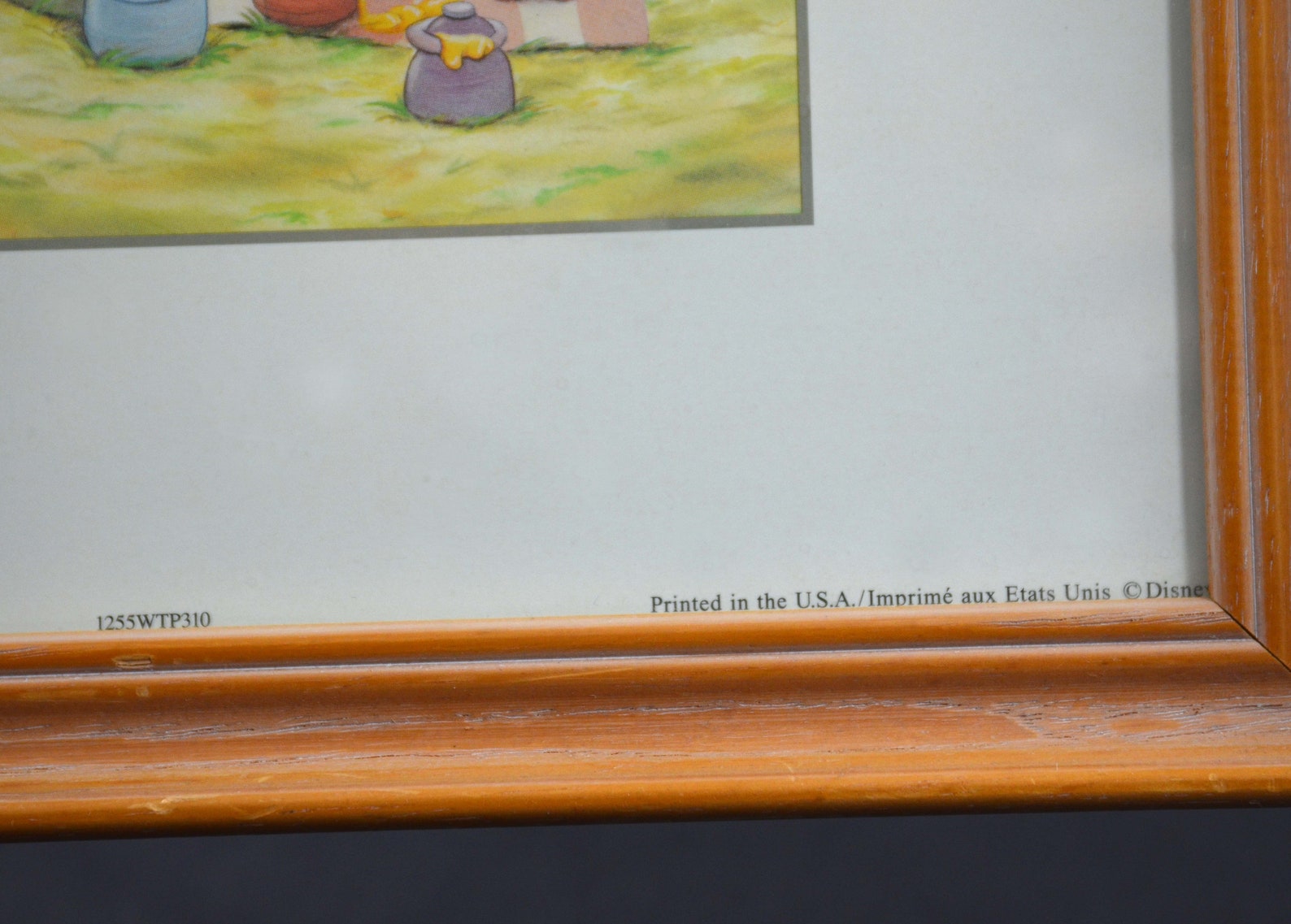Framed Winnie The Pooh Picturesnull