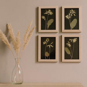 Pressed Flower Herbarium Wall Art | Real Dried Flowers | Botanical Decor | Blue Floral Frame
